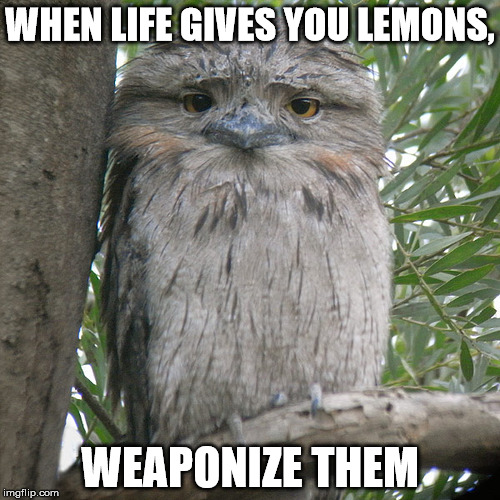Wise Advice Potoo | WHEN LIFE GIVES YOU LEMONS, WEAPONIZE THEM | image tagged in wise advice potoo | made w/ Imgflip meme maker