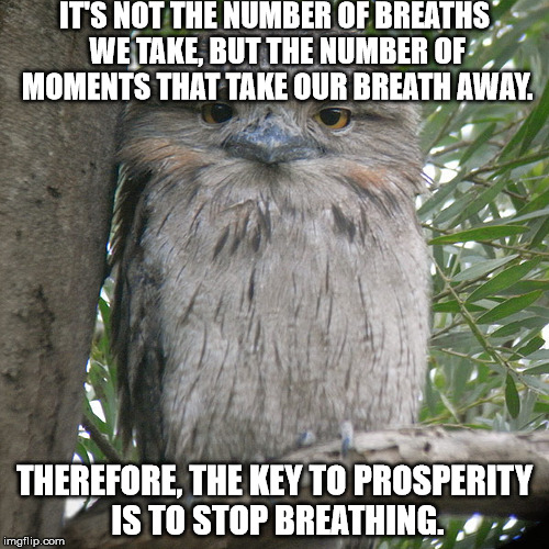Wise Advice Potoo | IT'S NOT THE NUMBER OF BREATHS WE TAKE, BUT THE NUMBER OF MOMENTS THAT TAKE OUR BREATH AWAY. THEREFORE, THE KEY TO PROSPERITY IS TO STOP BREATHING. | image tagged in wise advice potoo | made w/ Imgflip meme maker