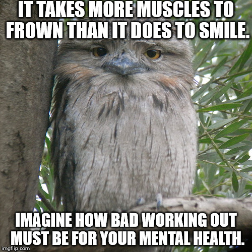 Wise Advice Potoo | IT TAKES MORE MUSCLES TO FROWN THAN IT DOES TO SMILE. IMAGINE HOW BAD WORKING OUT MUST BE FOR YOUR MENTAL HEALTH. | image tagged in wise advice potoo | made w/ Imgflip meme maker