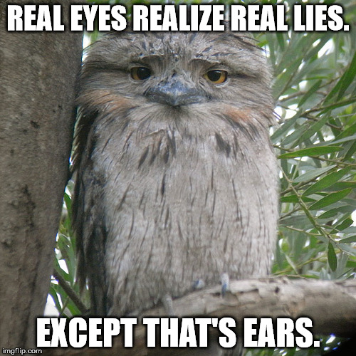 Wise Advice Potoo | REAL EYES REALIZE REAL LIES. EXCEPT THAT'S EARS. | image tagged in wise advice potoo | made w/ Imgflip meme maker