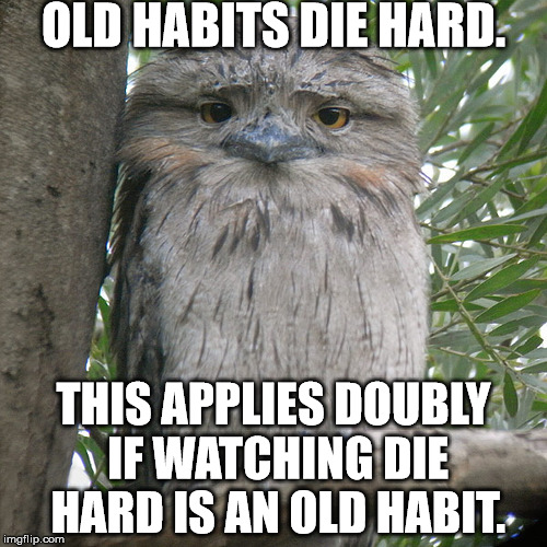 Wise Advice Potoo | OLD HABITS DIE HARD. THIS APPLIES DOUBLY IF WATCHING DIE HARD IS AN OLD HABIT. | image tagged in wise advice potoo | made w/ Imgflip meme maker