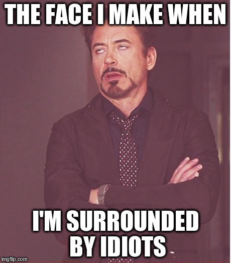 Surrounded by idiots | THE FACE I MAKE WHEN; I'M SURROUNDED BY IDIOTS | image tagged in memes,face you make robert downey jr | made w/ Imgflip meme maker