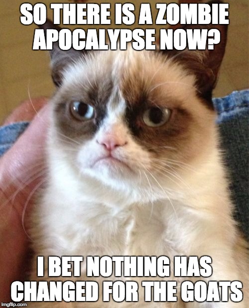 Grumpy Cat | SO THERE IS A ZOMBIE APOCALYPSE NOW? I BET NOTHING HAS CHANGED FOR THE GOATS | image tagged in memes,grumpy cat | made w/ Imgflip meme maker