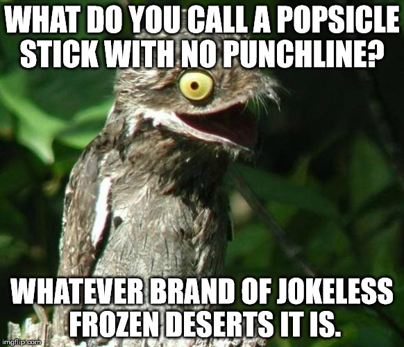 Bad Joke Potoo |  WHAT DO YOU CALL A POPSICLE STICK WITH NO PUNCHLINE? WHATEVER BRAND OF JOKELESS FROZEN DESERTS IT IS. | image tagged in bad joke potoo | made w/ Imgflip meme maker