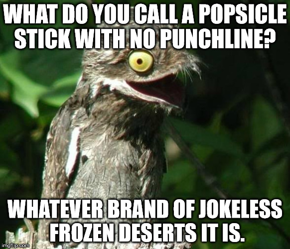 Bad Joke Potoo Imgflip