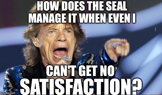 HOW DOES THE SEAL MANAGE IT WHEN EVEN I CAN'T GET NO SATISFACTION? | made w/ Imgflip meme maker