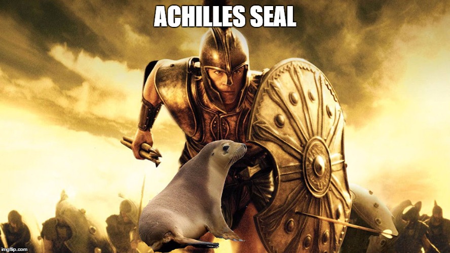Achilles seal |  ACHILLES SEAL | image tagged in achilles,seal | made w/ Imgflip meme maker