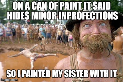 still owes me a chicken | ON A CAN OF PAINT IT SAID HIDES MINOR INPROFECTIONS; SO I PAINTED MY SISTER WITH IT | image tagged in memes,redneck swimming pool,redneck dog,first world problems | made w/ Imgflip meme maker
