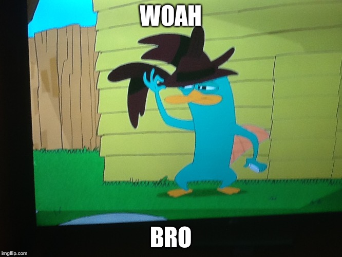 WOAH; BRO image tagged in perry the platypus made w/ Imgflip meme maker.