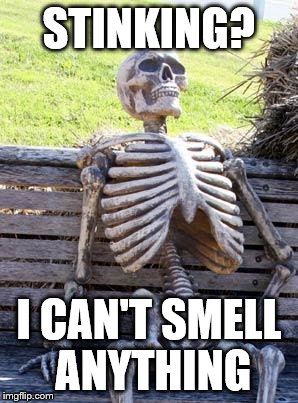 Waiting Skeleton Meme | STINKING? I CAN'T SMELL ANYTHING | image tagged in memes,waiting skeleton | made w/ Imgflip meme maker