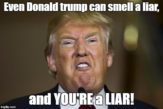 trump liars | Even Donald trump can smell a liar, and YOU'RE a LIAR! | image tagged in liars,liar liar | made w/ Imgflip meme maker