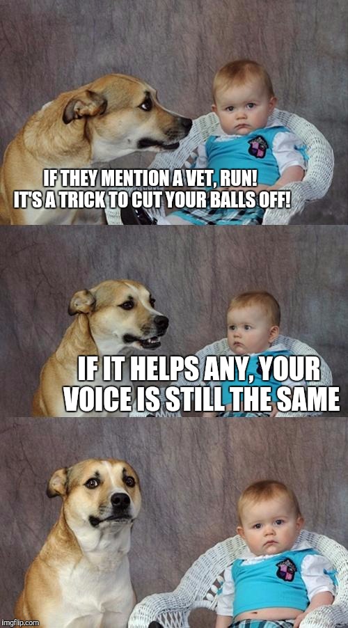 Dad Joke Dog | IF THEY MENTION A VET, RUN! IT'S A TRICK TO CUT YOUR BALLS OFF! IF IT HELPS ANY, YOUR VOICE IS STILL THE SAME | image tagged in memes,dad joke dog | made w/ Imgflip meme maker