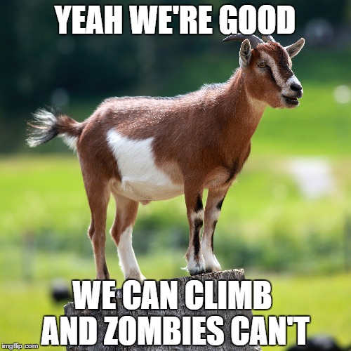 YEAH WE'RE GOOD WE CAN CLIMB AND ZOMBIES CAN'T | made w/ Imgflip meme maker