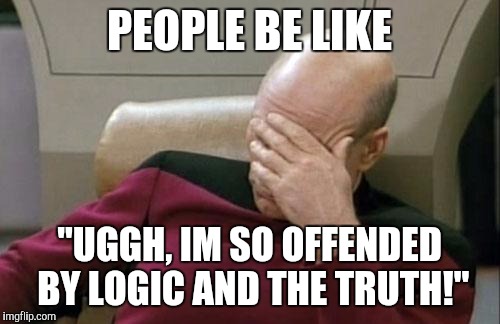 Fixed version of the original meme | PEOPLE BE LIKE; "UGGH, IM SO OFFENDED BY LOGIC AND THE TRUTH!" | image tagged in memes,captain picard facepalm | made w/ Imgflip meme maker