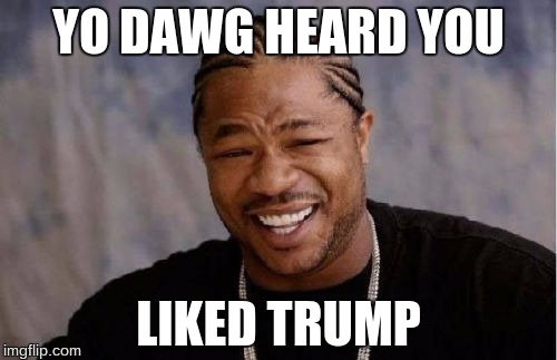 Yo Dawg Heard You | YO DAWG HEARD YOU; LIKED TRUMP | image tagged in memes,yo dawg heard you | made w/ Imgflip meme maker