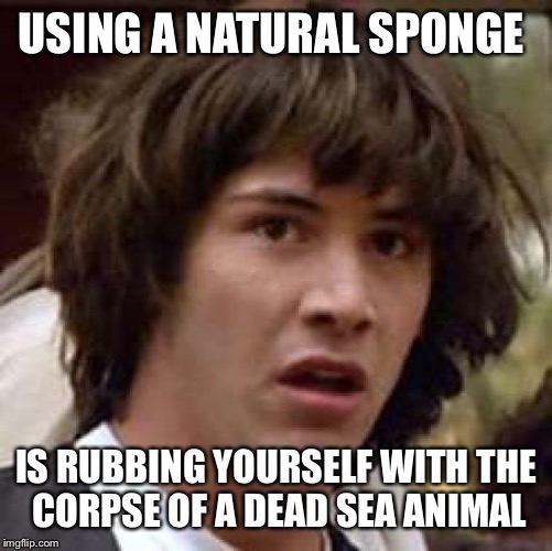 Conspiracy Keanu | USING A NATURAL SPONGE; IS RUBBING YOURSELF WITH THE CORPSE OF A DEAD SEA ANIMAL | image tagged in memes,conspiracy keanu | made w/ Imgflip meme maker