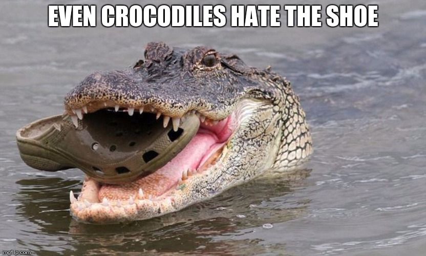 Even crocodiles hate the shoe | EVEN CROCODILES HATE THE SHOE | image tagged in even crocodiles hate the shoe | made w/ Imgflip meme maker