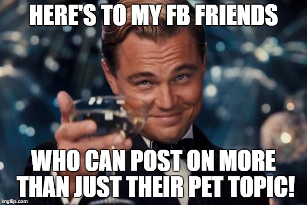 Leonardo Dicaprio Cheers | HERE'S TO MY FB FRIENDS; WHO CAN POST ON MORE THAN JUST THEIR PET TOPIC! | image tagged in memes,leonardo dicaprio cheers | made w/ Imgflip meme maker