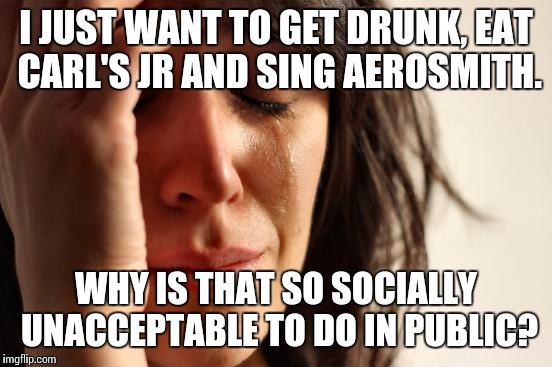 Found out you aren't allowed to do this in a department store. | I JUST WANT TO GET DRUNK, EAT CARL'S JR AND SING AEROSMITH. WHY IS THAT SO SOCIALLY UNACCEPTABLE TO DO IN PUBLIC? | image tagged in memes,first world problems | made w/ Imgflip meme maker