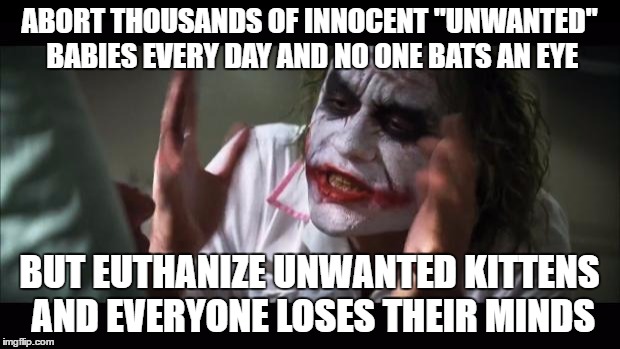 Double standard much? | ABORT THOUSANDS OF INNOCENT "UNWANTED" BABIES EVERY DAY AND NO ONE BATS AN EYE; BUT EUTHANIZE UNWANTED KITTENS AND EVERYONE LOSES THEIR MINDS | image tagged in memes,and everybody loses their minds | made w/ Imgflip meme maker