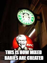 How many mixed people on this website | THIS IS HOW MIXED BABIES ARE CREATED | image tagged in starbucks,kfc,mixed kids | made w/ Imgflip meme maker