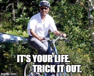 trick it out | IT'S YOUR LIFE.                TRICK IT OUT. | image tagged in obama no listen | made w/ Imgflip meme maker