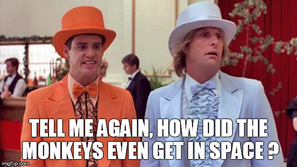 dumb and dumber | TELL ME AGAIN, HOW DID THE MONKEYS EVEN GET IN SPACE ? | image tagged in dumb and dumber | made w/ Imgflip meme maker