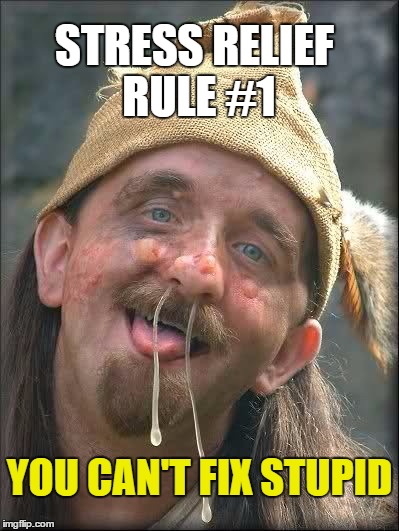 Four magic words, so true. | STRESS RELIEF RULE #1; YOU CAN'T FIX STUPID | image tagged in idiot,memes,funny memes | made w/ Imgflip meme maker