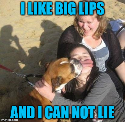 Sir Mixalips | I LIKE BIG LIPS; AND I CAN NOT LIE | image tagged in lips,dog,sir mix alot | made w/ Imgflip meme maker