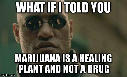 Matrix Morpheus | WHAT IF I TOLD YOU; MARIJUANA IS A HEALING PLANT AND NOT A DRUG | image tagged in memes,matrix morpheus | made w/ Imgflip meme maker