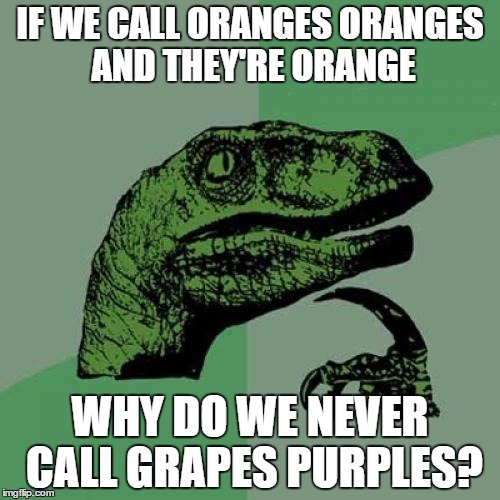 Hmm. | IF WE CALL ORANGES ORANGES AND THEY'RE ORANGE; WHY DO WE NEVER CALL GRAPES PURPLES? | image tagged in memes,philosoraptor,colors,fruits | made w/ Imgflip meme maker