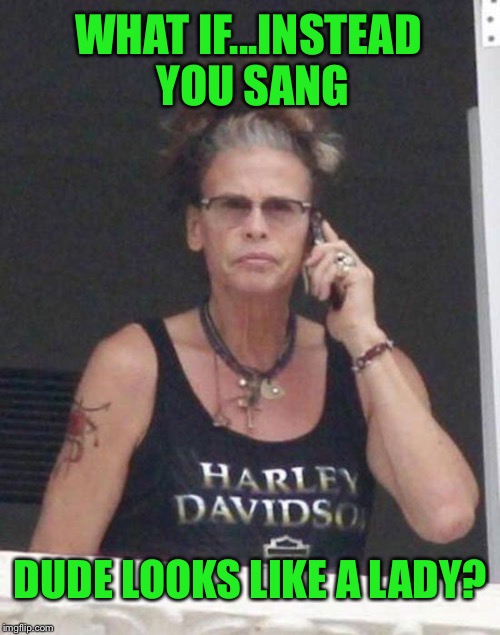 WHAT IF...INSTEAD YOU SANG DUDE LOOKS LIKE A LADY? | made w/ Imgflip meme maker