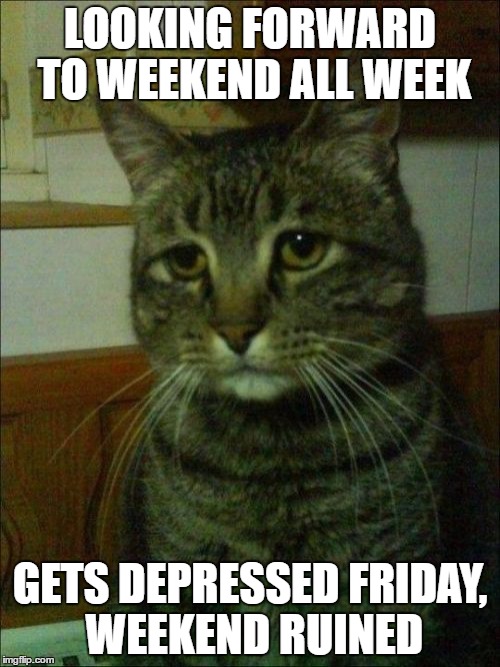 Depressed Cat | LOOKING FORWARD TO WEEKEND ALL WEEK; GETS DEPRESSED FRIDAY, WEEKEND RUINED | image tagged in memes,depressed cat,AdviceAnimals | made w/ Imgflip meme maker