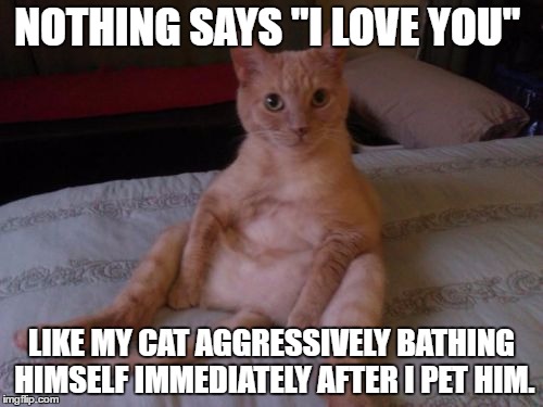 cat love | NOTHING SAYS "I LOVE YOU"; LIKE MY CAT AGGRESSIVELY BATHING HIMSELF IMMEDIATELY AFTER I PET HIM. | image tagged in memes,cat,i love you,petting | made w/ Imgflip meme maker