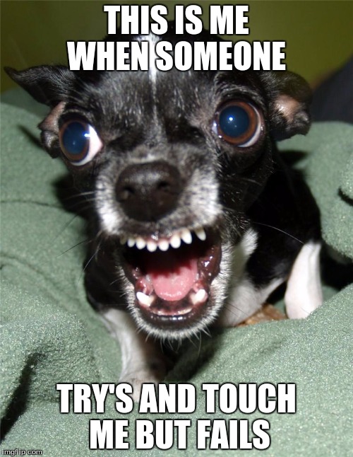 THIS IS ME WHEN SOMEONE; TRY'S AND TOUCH ME BUT FAILS | image tagged in anger isues | made w/ Imgflip meme maker
