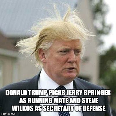 Donald Trump | DONALD TRUMP PICKS JERRY SPRINGER AS RUNNING MATE AND STEVE WILKOS AS SECRETARY OF DEFENSE | image tagged in donald trump | made w/ Imgflip meme maker