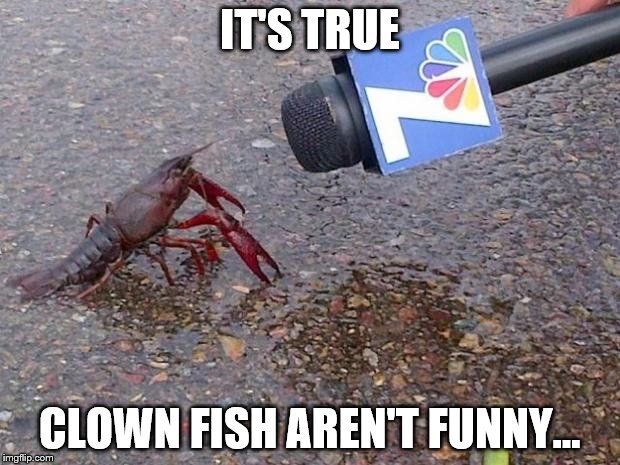 Crawfish Interview | IT'S TRUE; CLOWN FISH AREN'T FUNNY... | image tagged in crawfish interview,memes,clown fish | made w/ Imgflip meme maker