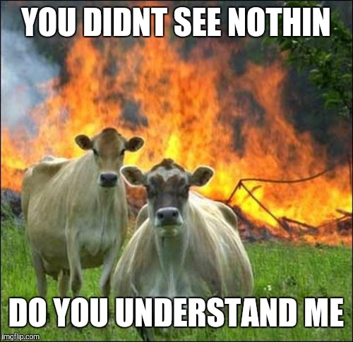 Evil Cows | YOU DIDNT SEE NOTHIN; DO YOU UNDERSTAND ME | image tagged in memes,evil cows | made w/ Imgflip meme maker