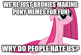 Pinkie Pie very sad | WE'RE JUST BRONIES MAKING PONY MEMES FOR FUN! WHY DO PEOPLE HATE US? | image tagged in pinkie pie very sad | made w/ Imgflip meme maker