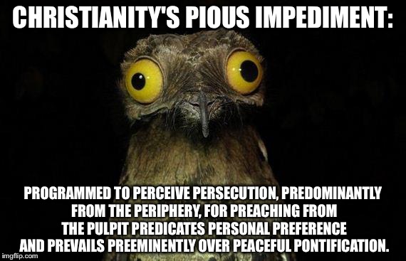 Weird Stuff I Do Potoo Meme | CHRISTIANITY'S PIOUS IMPEDIMENT:; PROGRAMMED TO PERCEIVE PERSECUTION, PREDOMINANTLY FROM THE PERIPHERY, FOR PREACHING FROM THE PULPIT PREDICATES PERSONAL PREFERENCE AND PREVAILS PREEMINENTLY OVER PEACEFUL PONTIFICATION. | image tagged in memes,weird stuff i do potoo | made w/ Imgflip meme maker