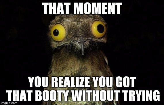 Weird Stuff I Do Potoo Meme | THAT MOMENT; YOU REALIZE YOU GOT THAT BOOTY WITHOUT TRYING | image tagged in memes,weird stuff i do potoo | made w/ Imgflip meme maker