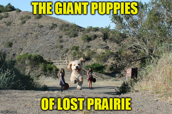 Lesser Known Marvels | THE GIANT PUPPIES; OF LOST PRAIRIE | image tagged in puppies,giant | made w/ Imgflip meme maker