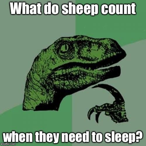Philosoraptor | What do sheep count; when they need to sleep? | image tagged in memes,philosoraptor | made w/ Imgflip meme maker