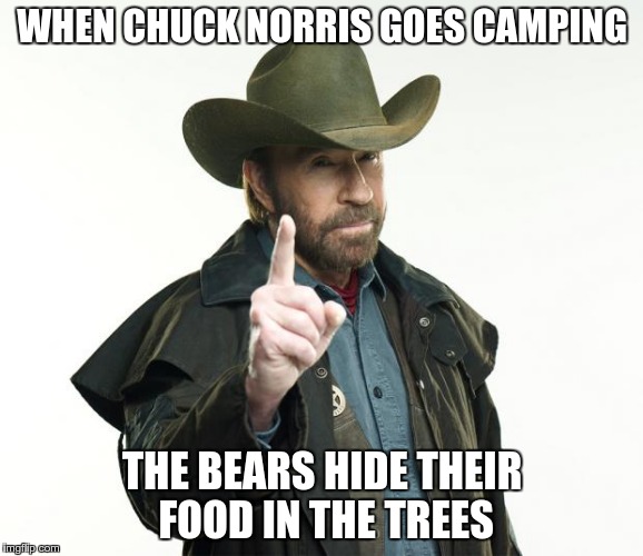 Chuck Norris Finger | WHEN CHUCK NORRIS GOES CAMPING; THE BEARS HIDE THEIR FOOD IN THE TREES | image tagged in chuck norris | made w/ Imgflip meme maker