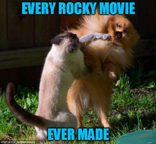 Eye of the Tiger | EVERY ROCKY MOVIE; EVER MADE | image tagged in rocky,rocky iv,tiger | made w/ Imgflip meme maker