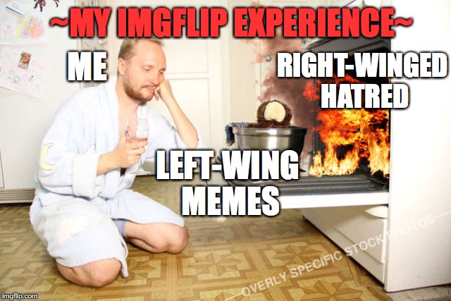  ¯_(少)_/¯   | ~MY IMGFLIP EXPERIENCE~; RIGHT-WINGED HATRED; ME; LEFT-WING MEMES | image tagged in lol,funny,left wing,right wing,raydog,memes | made w/ Imgflip meme maker