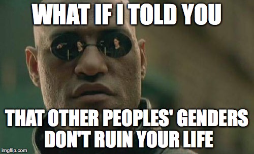 sue me :^) | WHAT IF I TOLD YOU; THAT OTHER PEOPLES' GENDERS DON'T RUIN YOUR LIFE | image tagged in memes,matrix morpheus,funny,lol,raydog | made w/ Imgflip meme maker