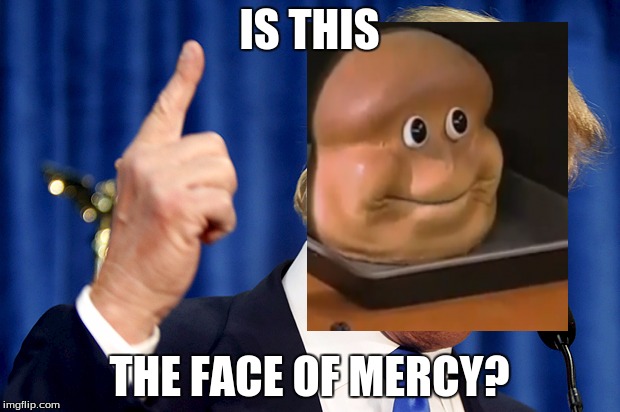 Donald Trump | IS THIS; THE FACE OF MERCY? | image tagged in donald trump | made w/ Imgflip meme maker