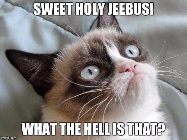 Grumpy Cat What the Hell.....? | SWEET HOLY JEEBUS! WHAT THE HELL IS THAT? | image tagged in grumpy cat | made w/ Imgflip meme maker