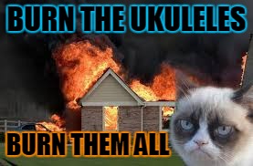 BURN THE UKULELES BURN THEM ALL | made w/ Imgflip meme maker